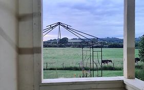 Off Grid Rosie Sheperd Hut And Summerhouse Plus 1 Acre At Tanyrallt